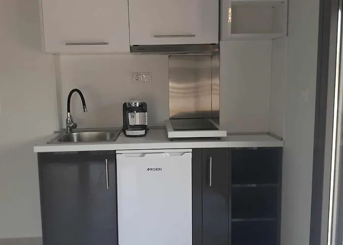 Acta Luxury Pensiune