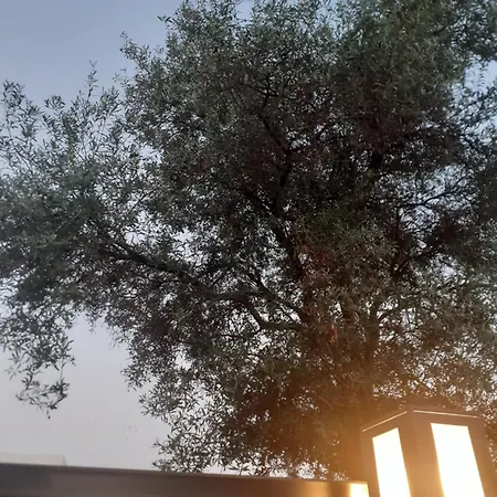 Acta Luxury Maison d'hôtes